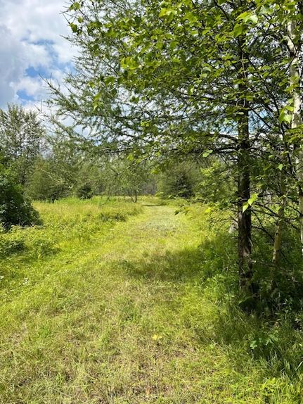 Undeveloped Land for sale in Forest County, Wisconsin
