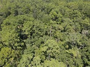 Property for sale in Lake County, Florida