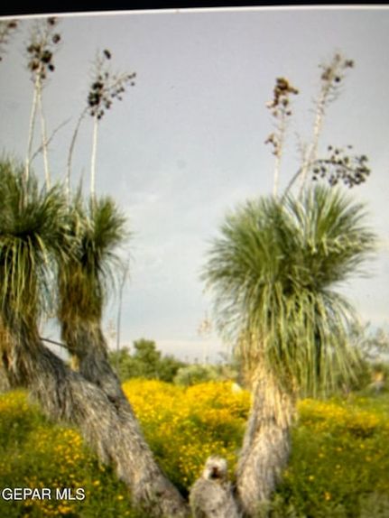 Property for sale in Hudspeth County, Texas