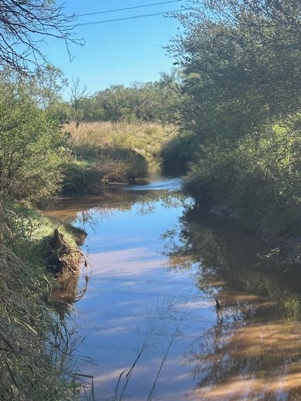 Waterfront Property for sale in Jones County, Texas