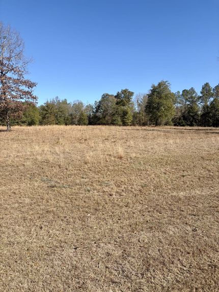 Property for sale in Butler County, Alabama