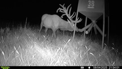 Property for sale in Greer County, Oklahoma