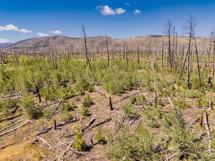 Property for sale in Costilla County, Colorado