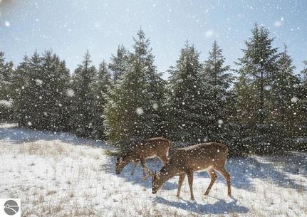 Property for sale in Grand Traverse County, Michigan