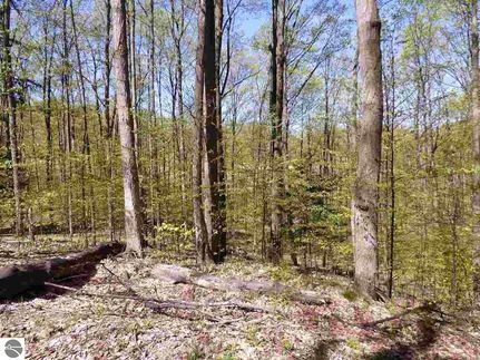 Property for sale in Antrim County, Michigan