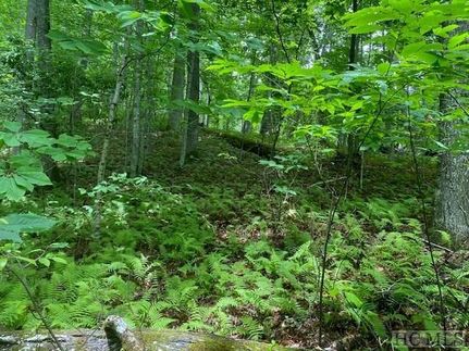 Undeveloped Land for sale in Jackson County, North Carolina