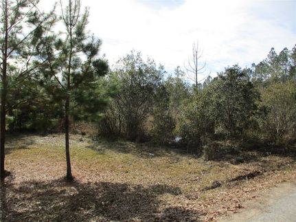 Undeveloped Land for sale in Nassau County, Florida