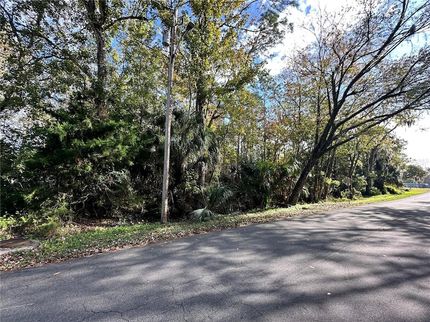 Undeveloped Land for sale in Flagler County, Florida