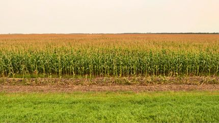 Property for sale in Marshall County, Minnesota