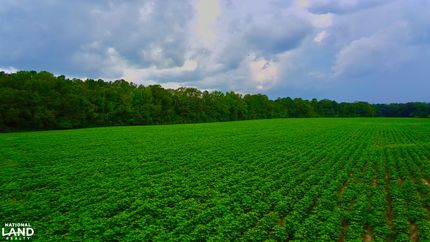 Recreational Property for sale in Houston County, Alabama