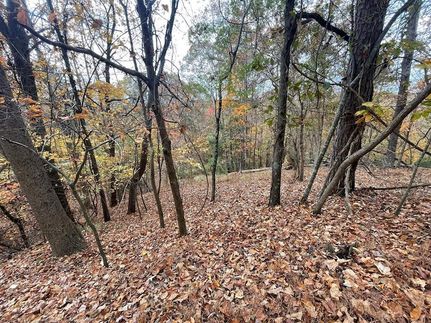 Property for sale in Gilmer County, Georgia