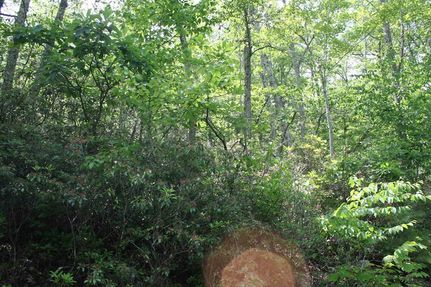 Property for sale in Highland County, Virginia