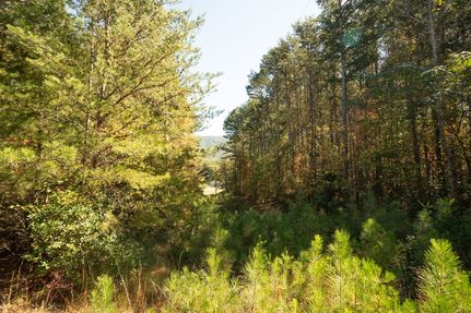 Ranch Property for sale in Polk County, Tennessee