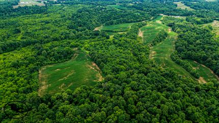 Property for sale in Obion County, Tennessee