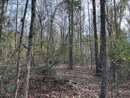 Farm Property for sale in Harrison County, Texas