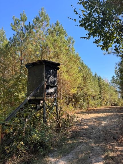 Farm Property for sale in Sumter County, Alabama