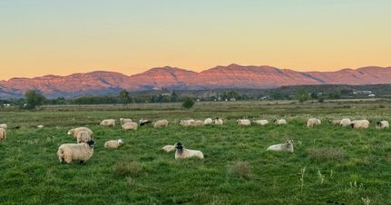 Ranch Property for sale in Grant County, New Mexico
