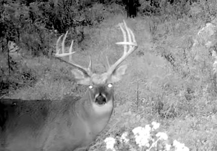 Farm Property for sale in Marion County, Illinois