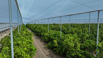 Residential Property for sale in Polk County, Florida