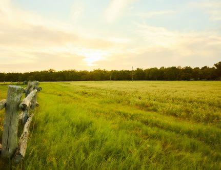 Ranch Property for sale in Milam County, Texas