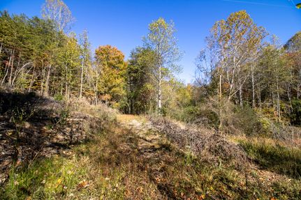 Farm Property for sale in Henry County, Virginia