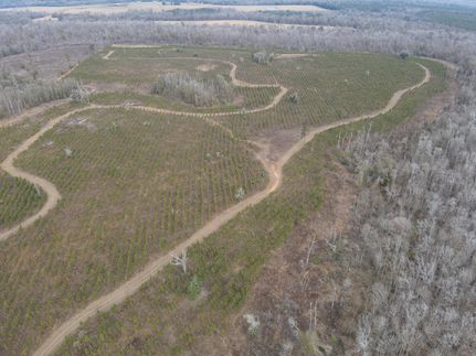 Property for sale in Jackson County, Florida