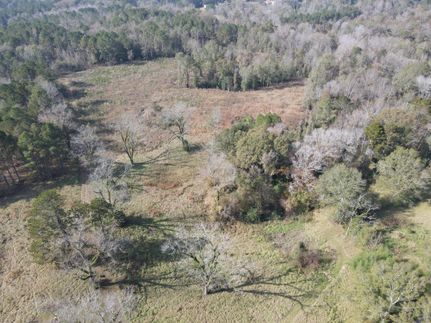 Hunting Land for sale in Copiah County, Mississippi