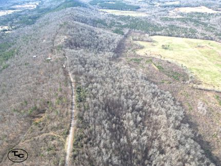 Undeveloped Land for sale in Saint Clair County, Alabama