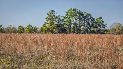 Ranch Property for sale in Walker County, Texas