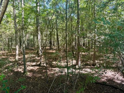Farm Property for sale in Washington Parish, Louisiana