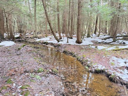 Property for sale in Warren County, Pennsylvania