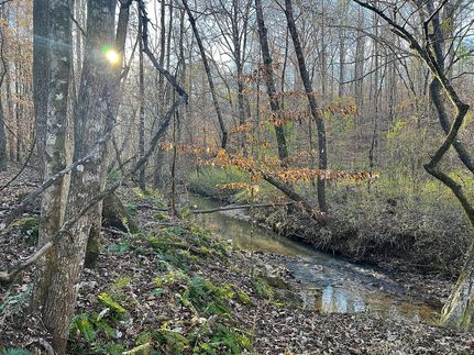 Property for sale in Elmore County, Alabama