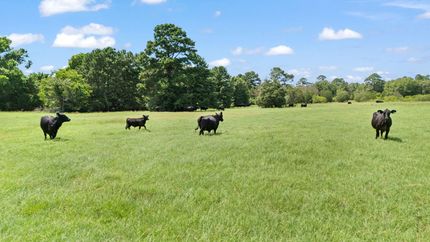 Farm Property for sale in Bastrop County, Texas