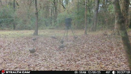 Ranch Property for sale in Jasper County, Mississippi