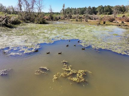 Farm Property for sale in Sevier County, Arkansas