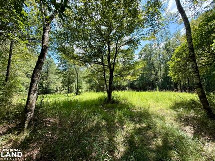 Property for sale in Washington County, Alabama