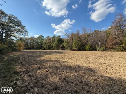 Hunting Land for sale in Greene County, Alabama
