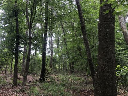 Timberland Property for sale in Anderson County, Texas