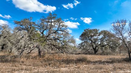 Farm Property for sale in Medina County, Texas