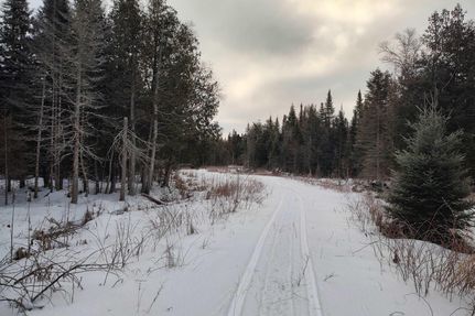 Undeveloped Land for sale in Delta County, Michigan