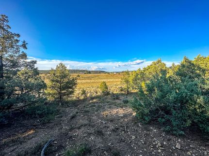 Property for sale in Rio Arriba County, New Mexico