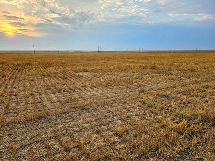 Undeveloped Land for sale in Adams County, Colorado
