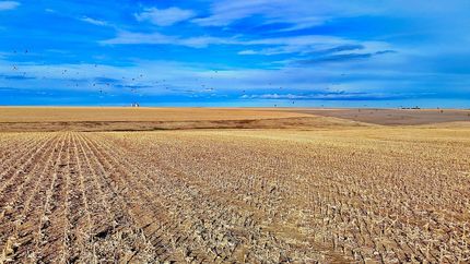 Farm Property for sale in Sherman County, Kansas