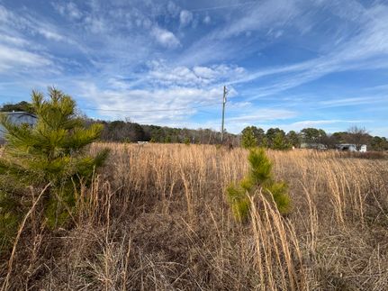 Undeveloped Land for sale in Saint Clair County, Alabama