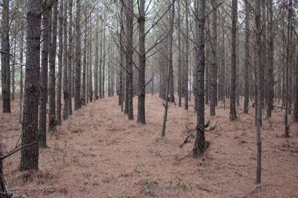 Property for sale in Laurens County, Georgia