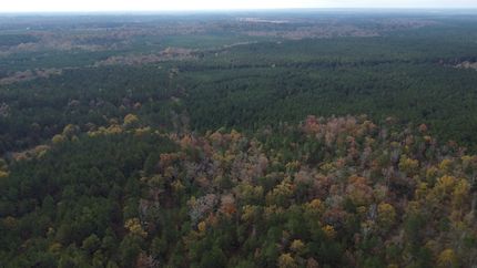 Timberland Property for sale in Clark County, Arkansas