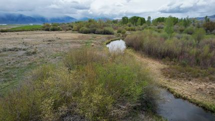 Farm Property for sale in Custer County, Idaho