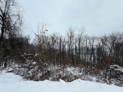 Undeveloped Land for sale in Beaver County, Pennsylvania