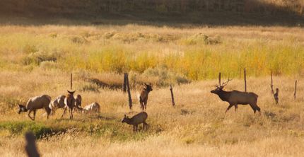 Property for sale in Montrose County, Colorado