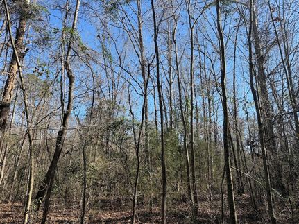 Property for sale in Crenshaw County, Alabama